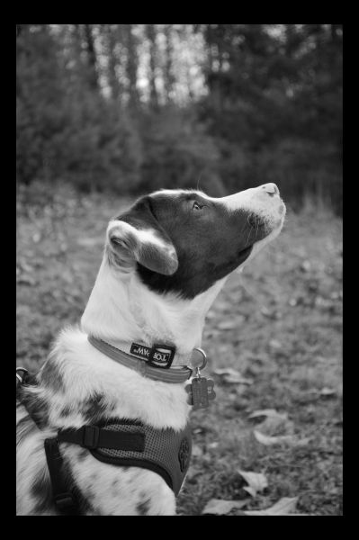 Black and white photography - KMN Photography