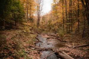 Things to do in NEPA - Fall foliage hikes and pumpkin patches. NEPA Horror Fest